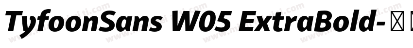 TyfoonSans W05 ExtraBold字体转换